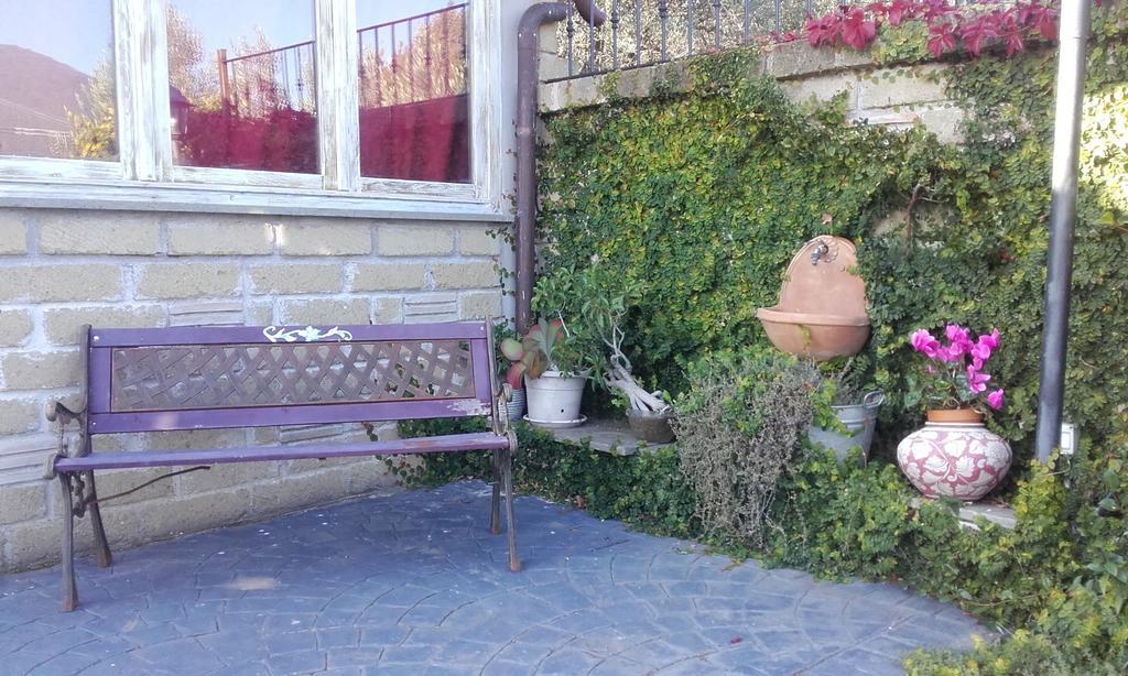 Il Poggio Degli Ulivi Apartment Trevignano Romano Bilik gambar