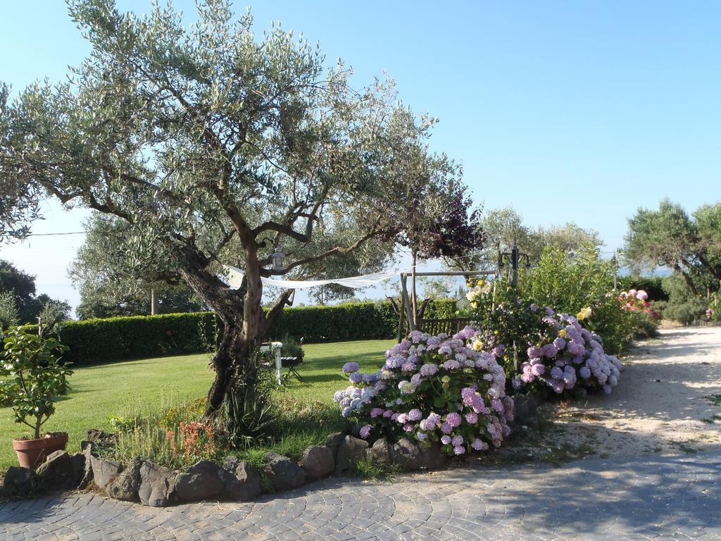 Il Poggio Degli Ulivi Apartment Trevignano Romano Bilik gambar