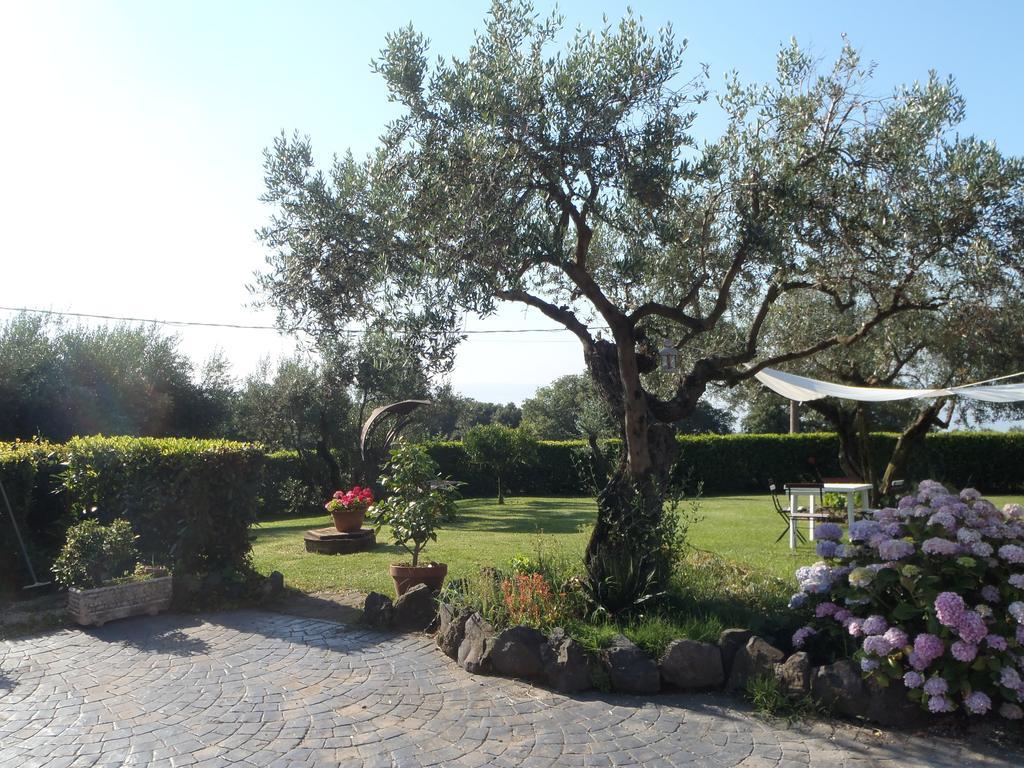 Il Poggio Degli Ulivi Apartment Trevignano Romano Bilik gambar