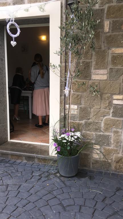 Il Poggio Degli Ulivi Apartment Trevignano Romano Luaran gambar