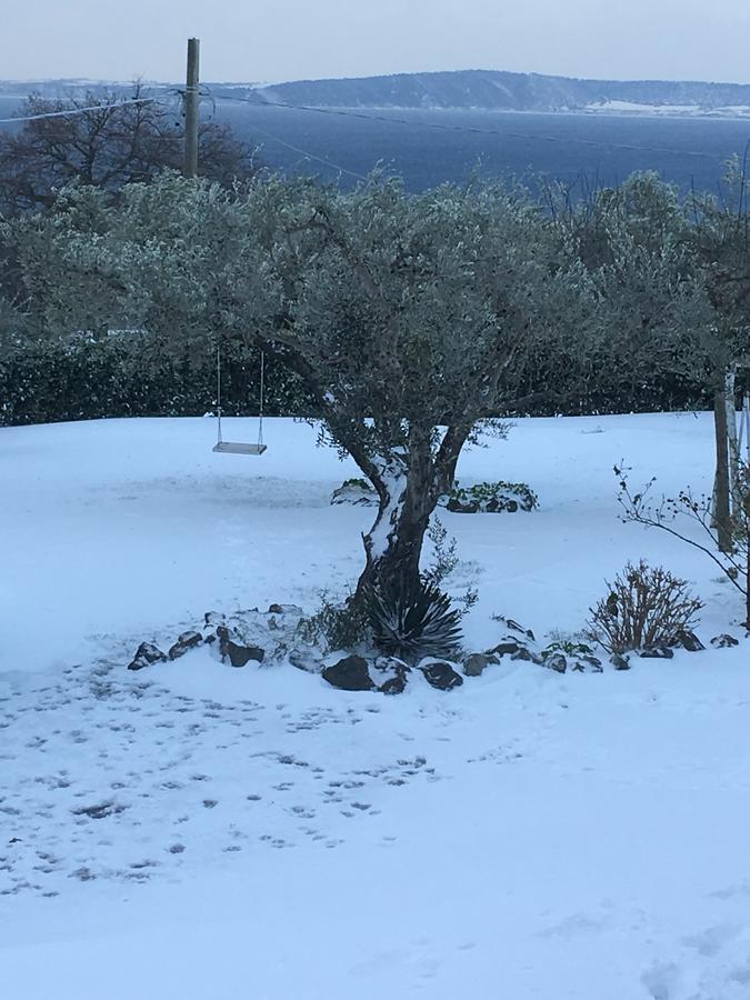 Il Poggio Degli Ulivi Apartment Trevignano Romano Luaran gambar