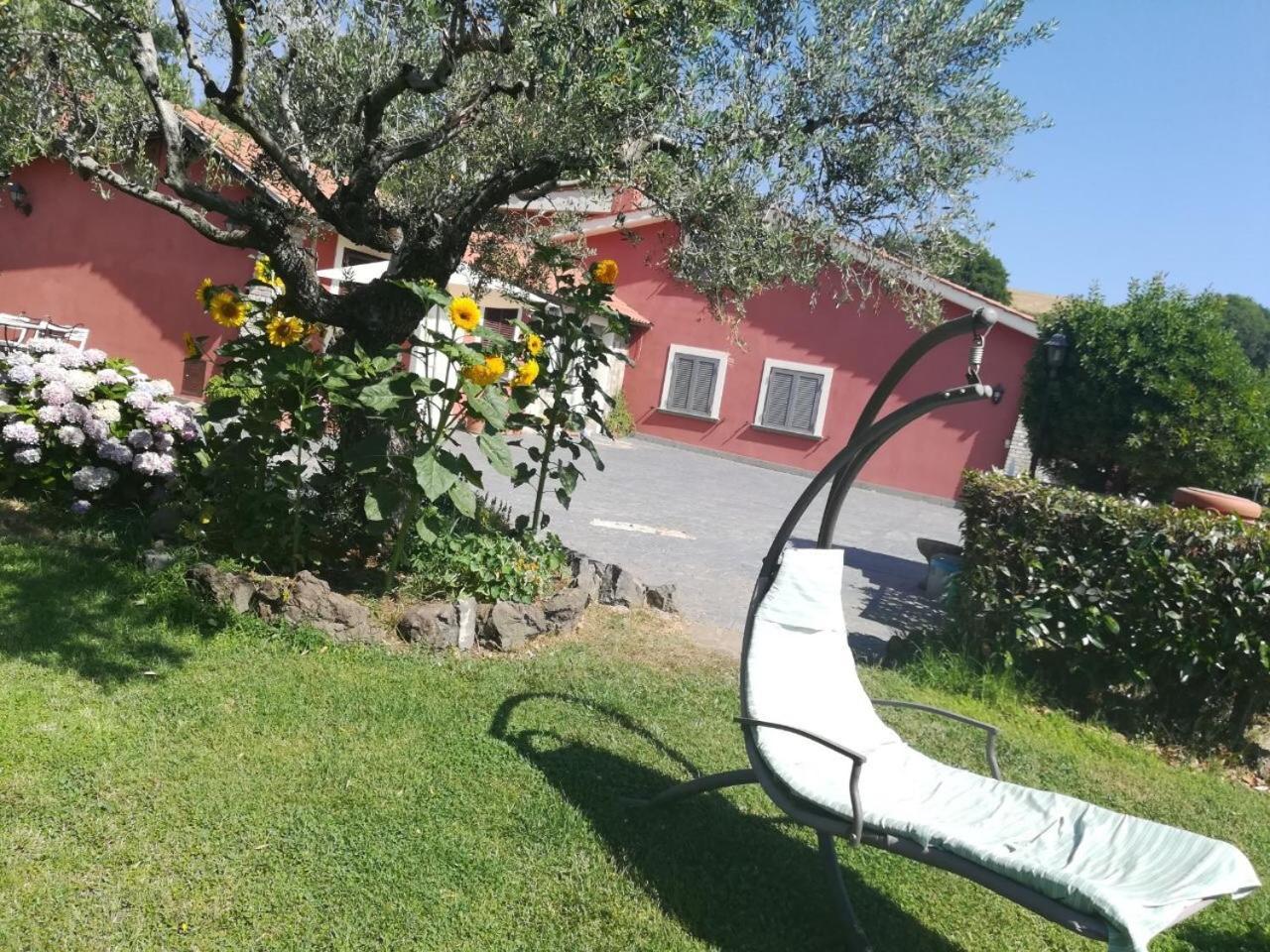 Il Poggio Degli Ulivi Apartment Trevignano Romano Luaran gambar