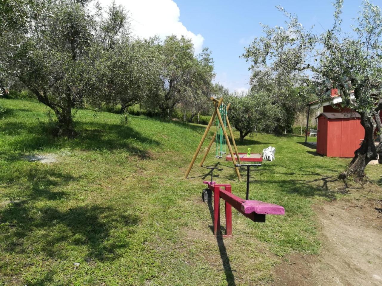 Il Poggio Degli Ulivi Apartment Trevignano Romano Luaran gambar