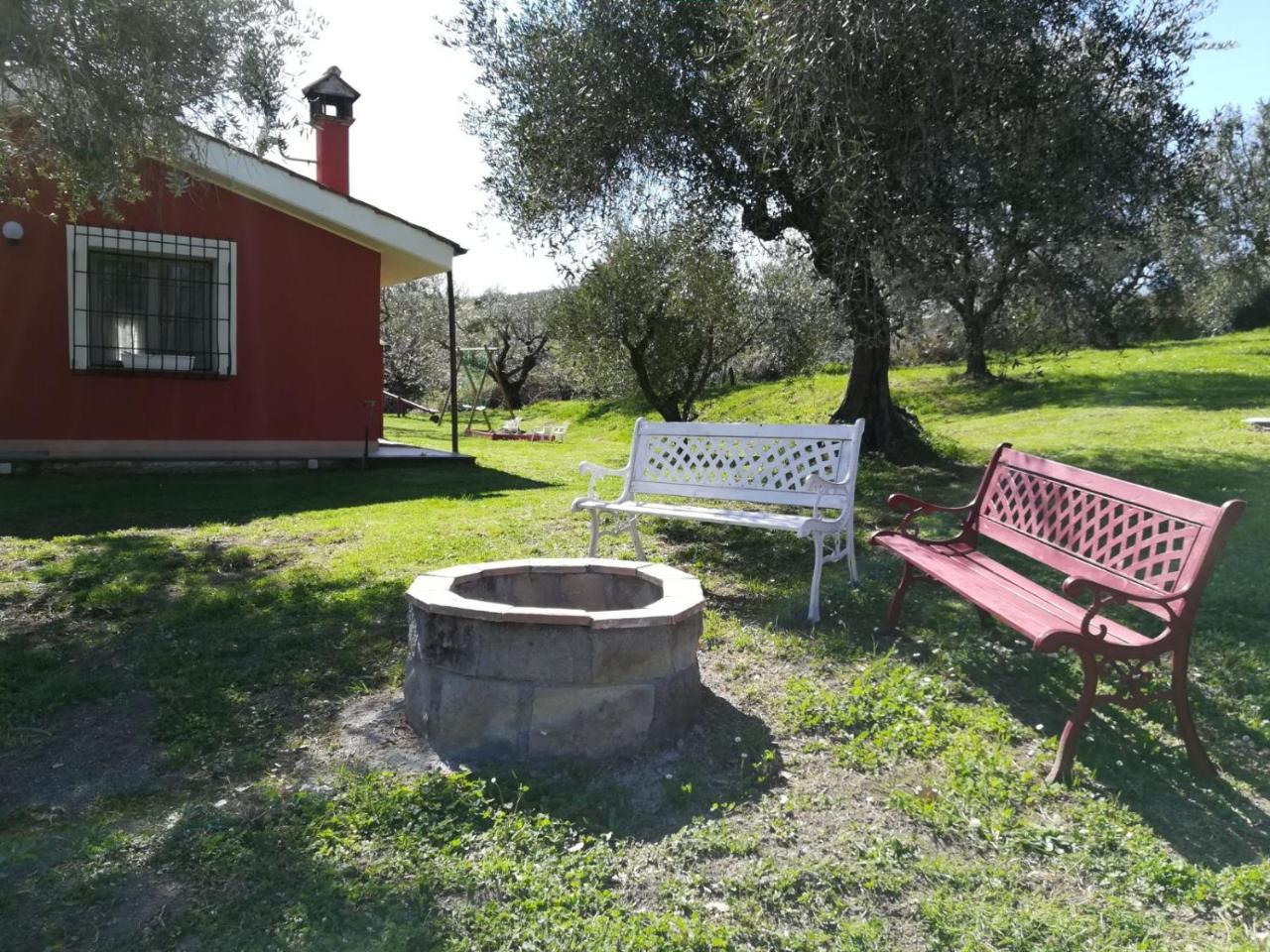 Il Poggio Degli Ulivi Apartment Trevignano Romano Luaran gambar